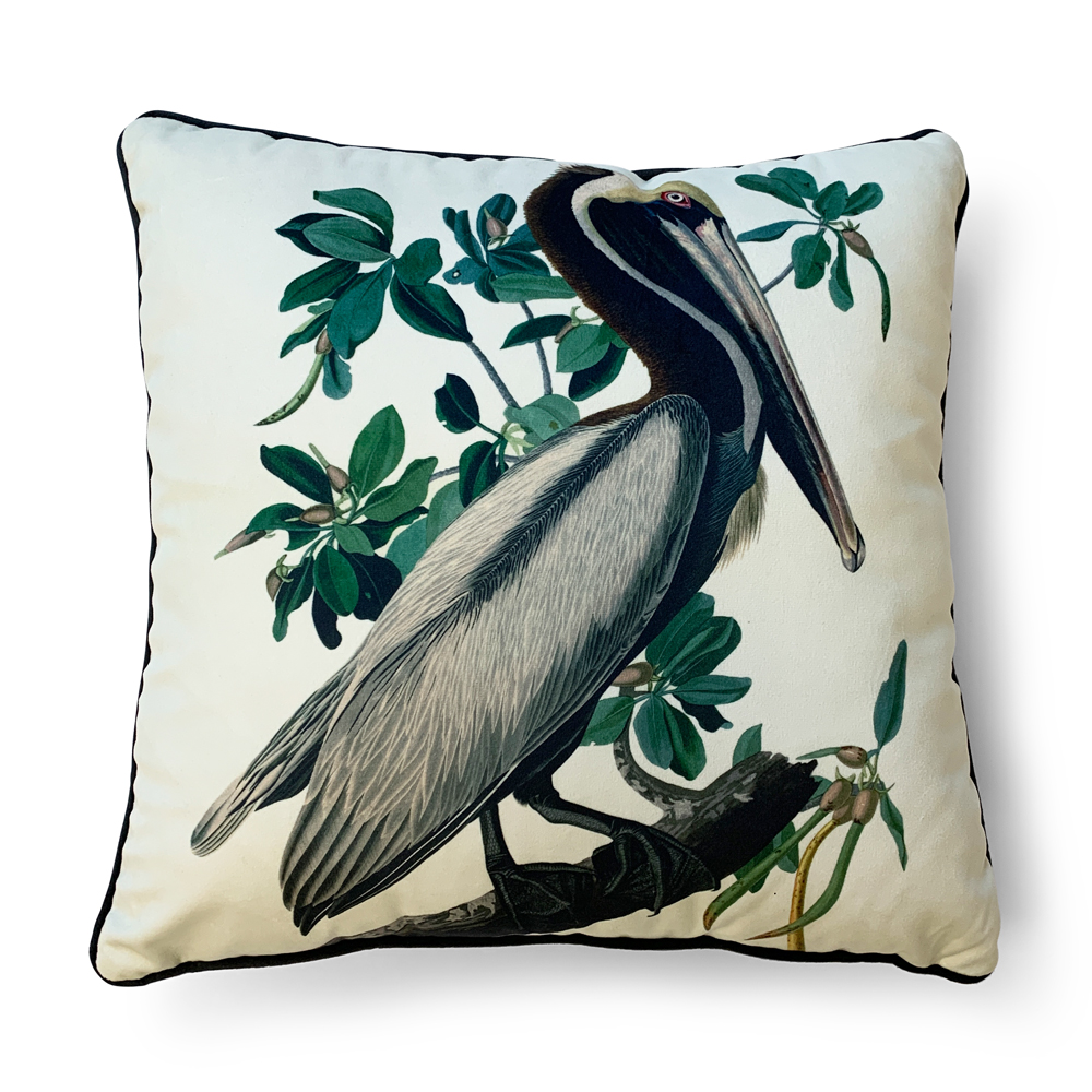 John James Audubon Brown Pelican Cushion The Art Group