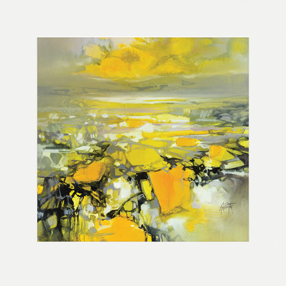Scott Naismith (Yellow Matter 2) Mounted Prints