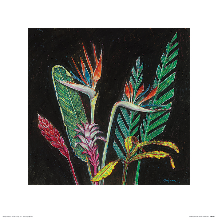 Shyama Ruffell (Dark Tropical I) Art Prints