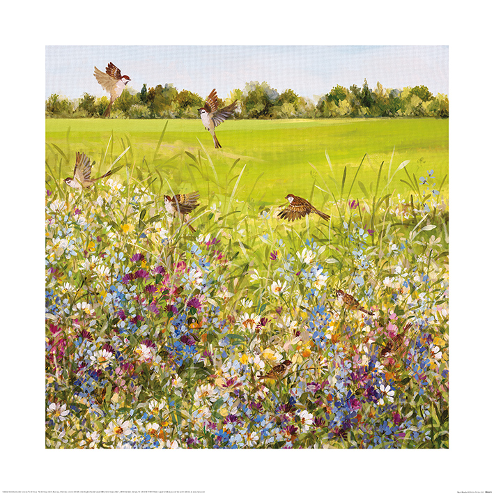 Fletcher Prentice (Open Meadow) Art Prints