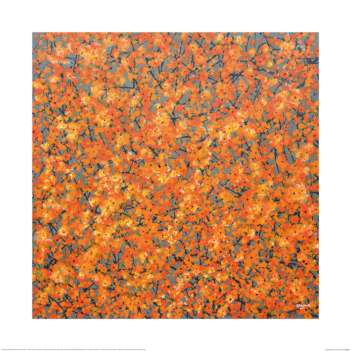 Simon Fairless (Orange Blossom) Art Prints