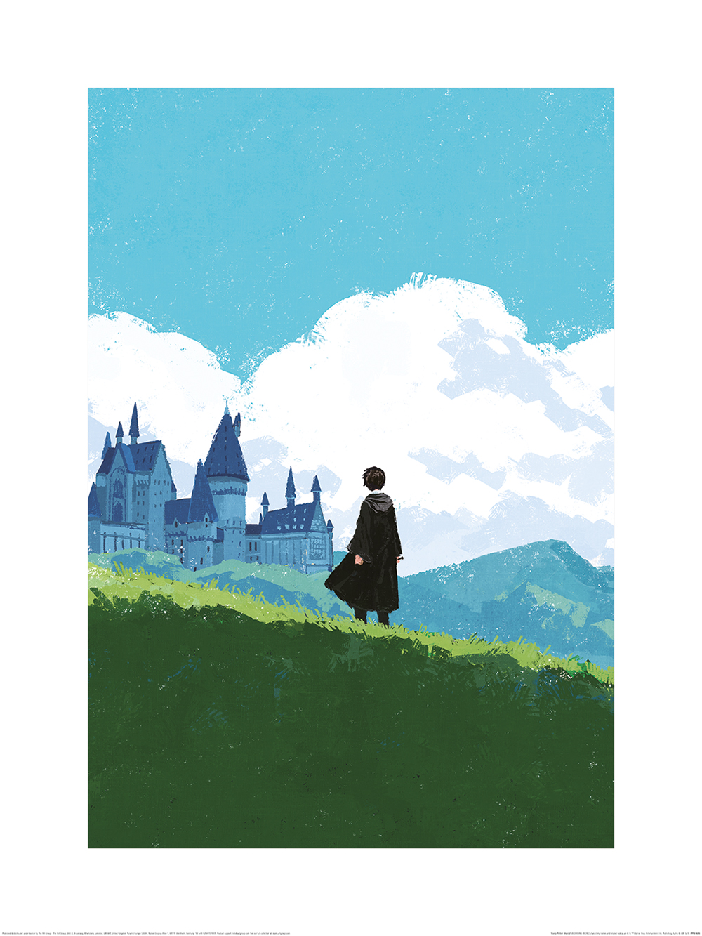 Harry Potter (Harry) Art Prints