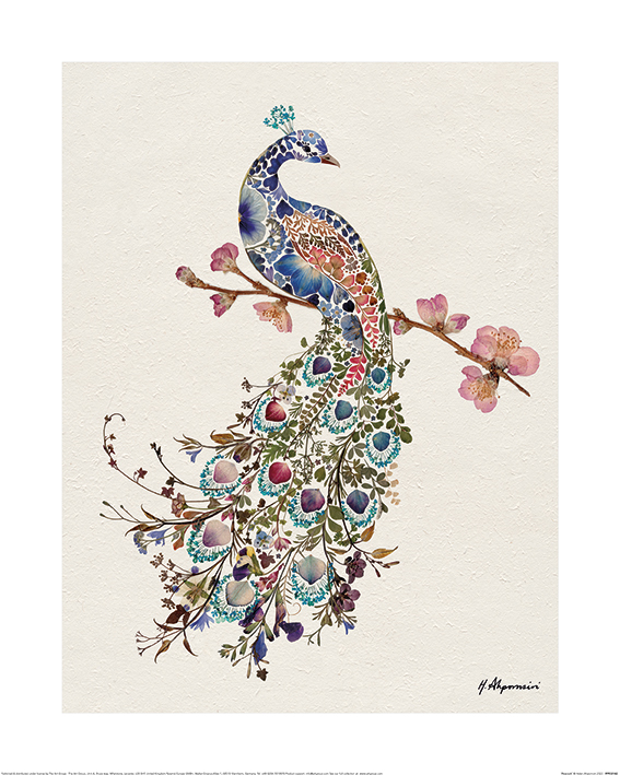 Helen Ahpornsiri (Peacock) Canvas Print | The Art Group