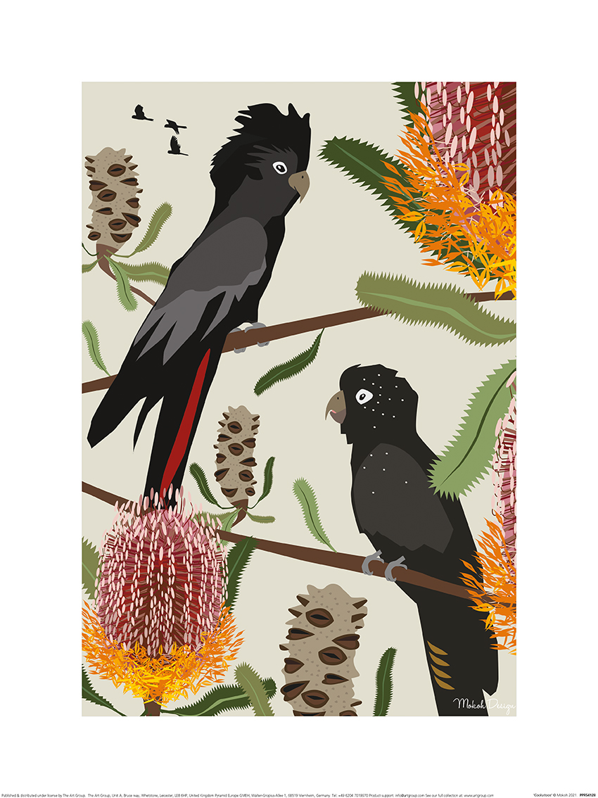 Mokoh (Cockatoos) Art Prints