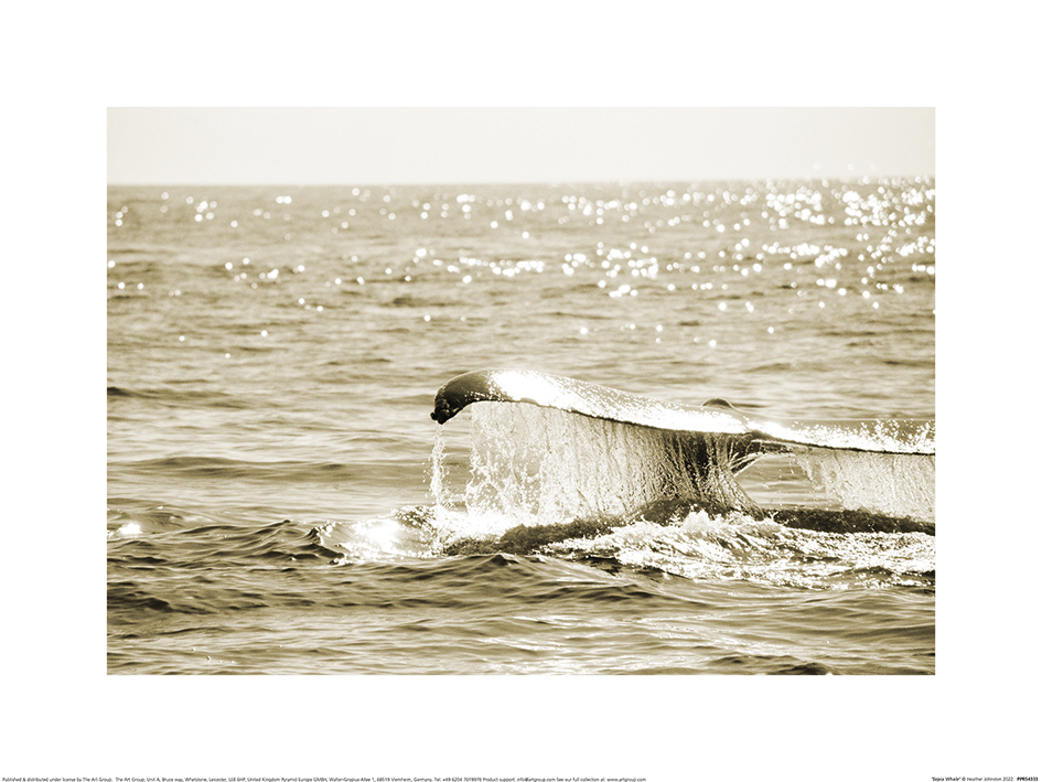 Heather Johnston (Sepia Whale) Art Print