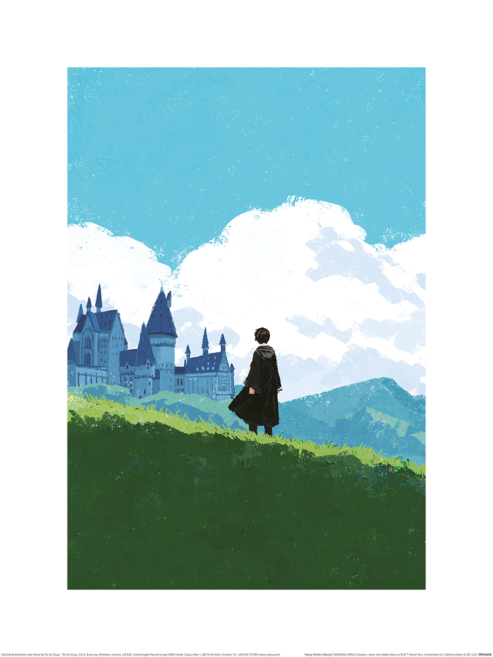 Harry Potter (Harry) Art Print