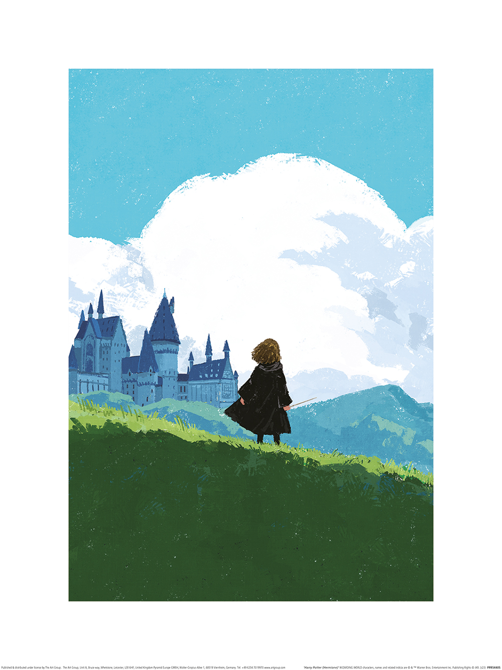 Harry Potter (Hermione) Art Prints