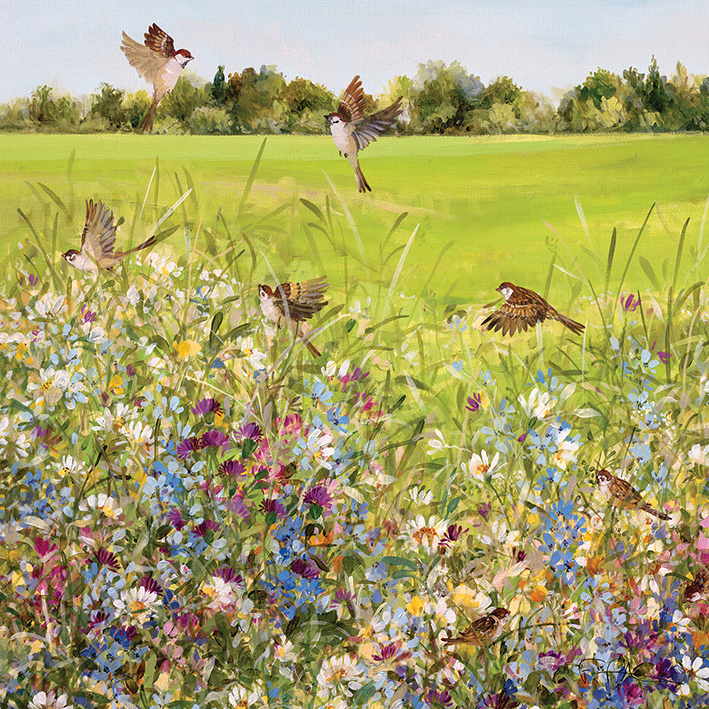 Fletcher Prentice (Open Meadow) Canvas Prints