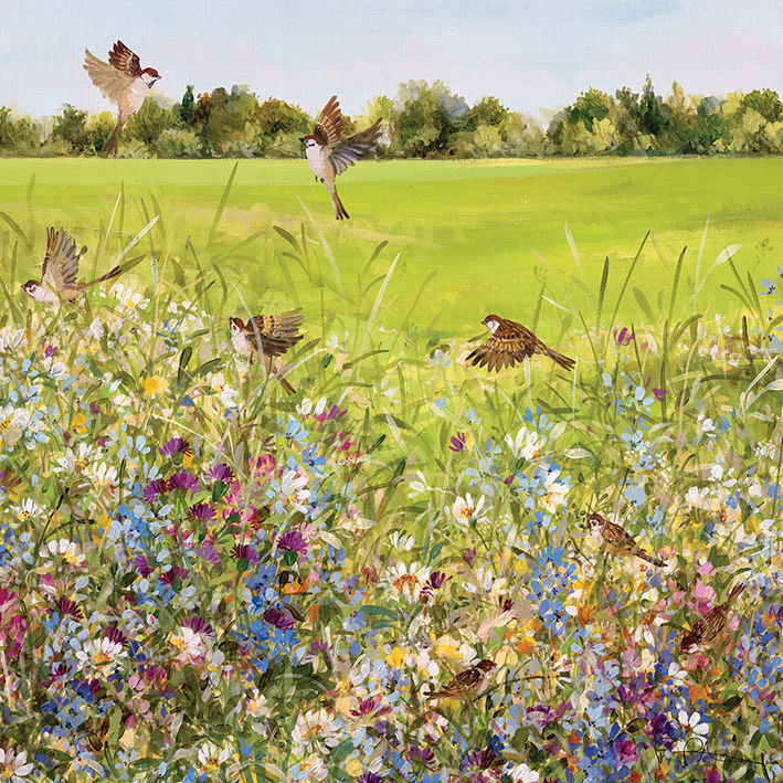 Fletcher Prentice (Open Meadow) Canvas Print